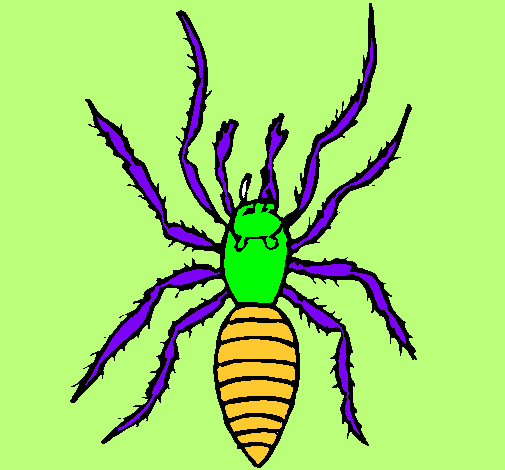 Araña tigre