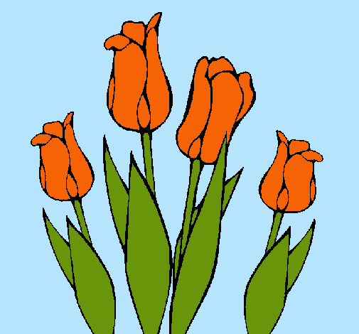 Tulipanes