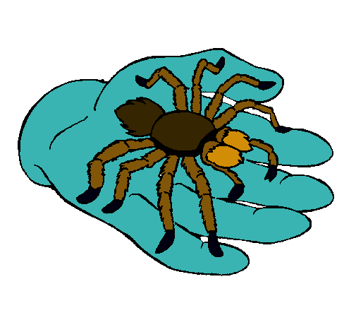 Tarántula