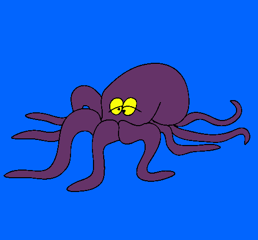 Pulpo