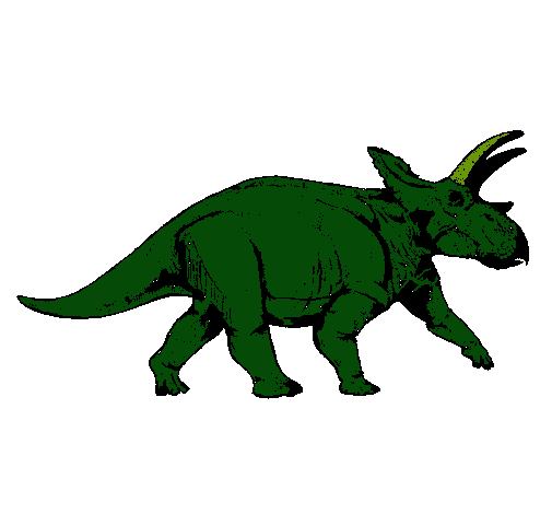 Triceratops