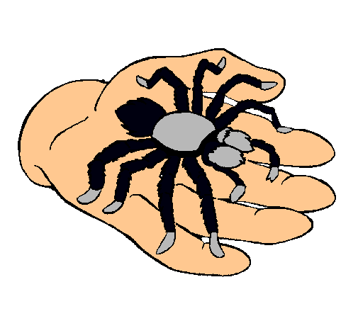 Tarántula