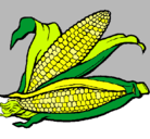 Dibujo Mazorca de maíz pintado por karo