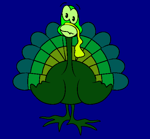 Pavo