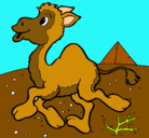 Dibujo Camello pintado por ariadna