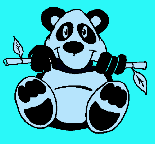 Oso panda