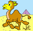 Dibujo Camello pintado por gael