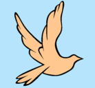 Dibujo Paloma de la paz al vuelo pintado por aneth