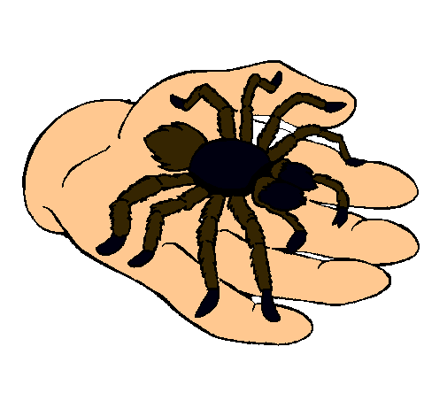 Tarántula