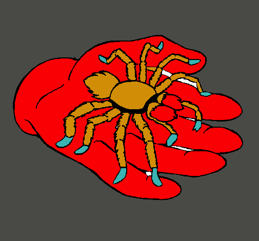 Tarántula