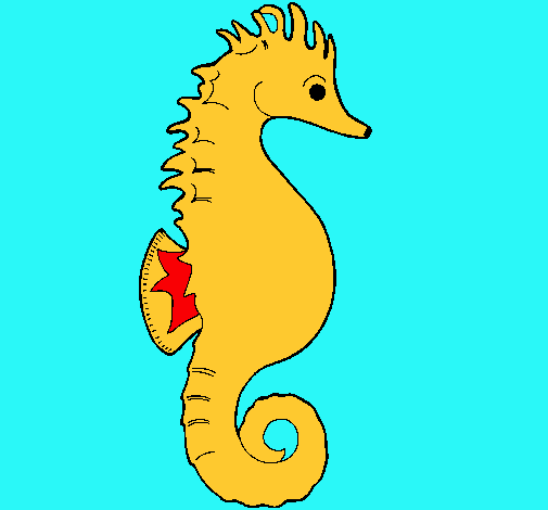 Caballito de mar