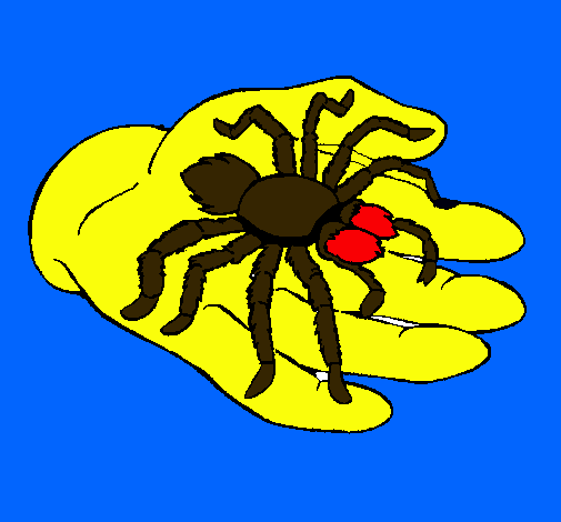 Tarántula