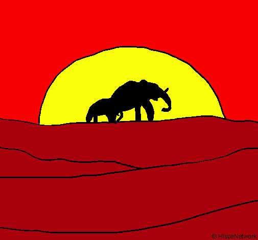 Elefante en el amanecer