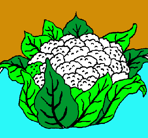 coliflor