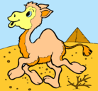Dibujo Camello pintado por irene
