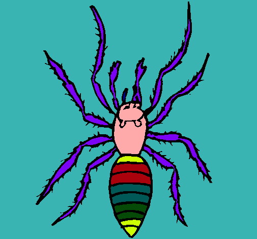 Araña tigre