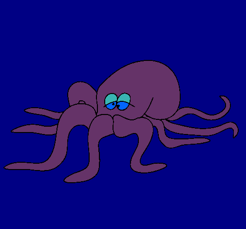 Pulpo