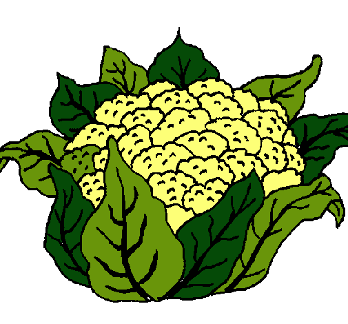 coliflor