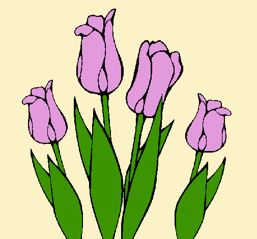 Tulipanes