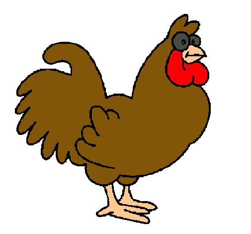 Gallo