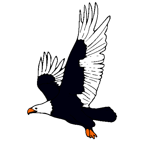 Águila volando