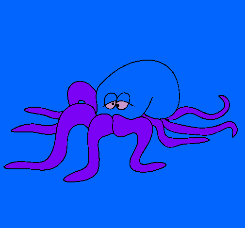 Pulpo