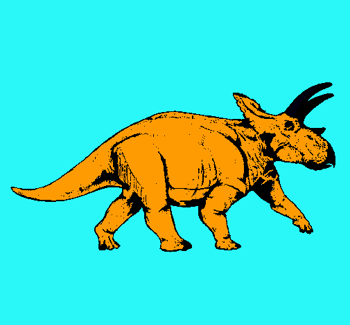 Triceratops