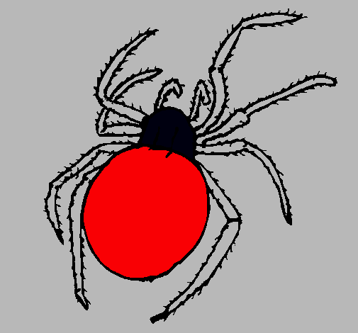 Araña venenosa