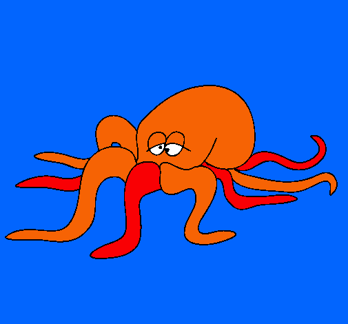 Pulpo