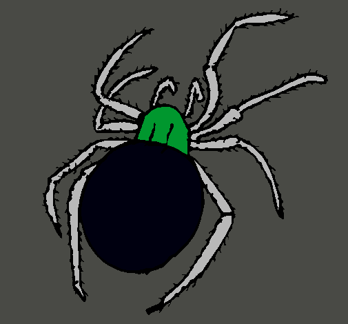 Araña venenosa