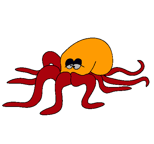 Pulpo