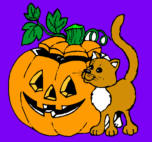 Calabaza y gato