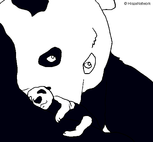 Oso panda con su cria