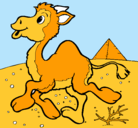 Dibujo Camello pintado por oriana