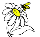 Dibujo Margarita con abeja pintado por n