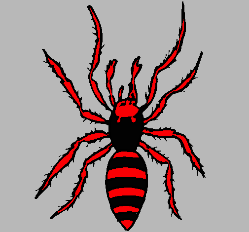 Araña tigre