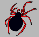 Dibujo Araña venenosa pintado por jerri