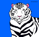 Dibujo Tigre pintado por TIGRESA