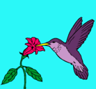 Dibujo Colibrí y una flor pintado por maya