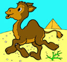 Dibujo Camello pintado por paula