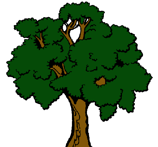 Árbol