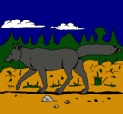 Dibujo Coyote pintado por edgar
