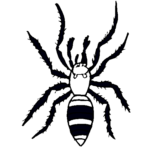 Araña tigre