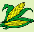 Dibujo Mazorca de maíz pintado por verosae
