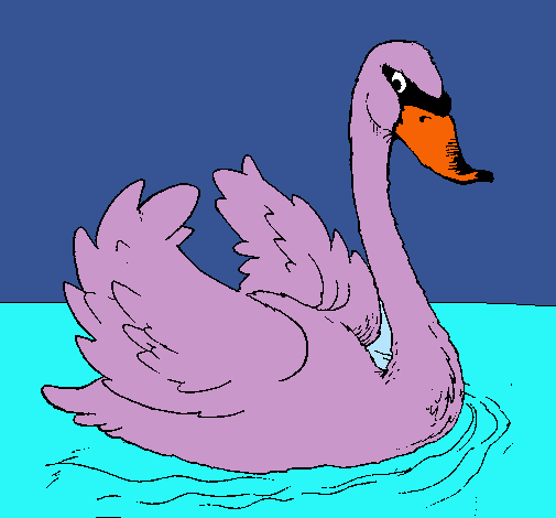 Cisne en el agua