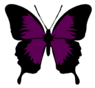 Dibujo Mariposa con alas negras pintado por paloma