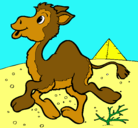 Dibujo Camello pintado por agustinymariavictoria