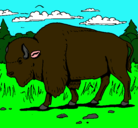 Dibujo Búfalo  pintado por hugorodriguezblanco