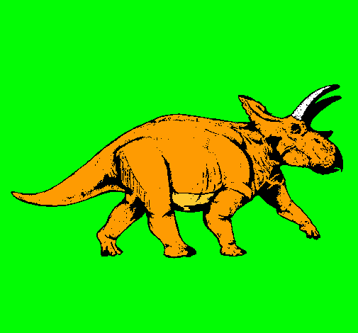 Triceratops