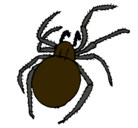 Dibujo Araña venenosa pintado por felip1